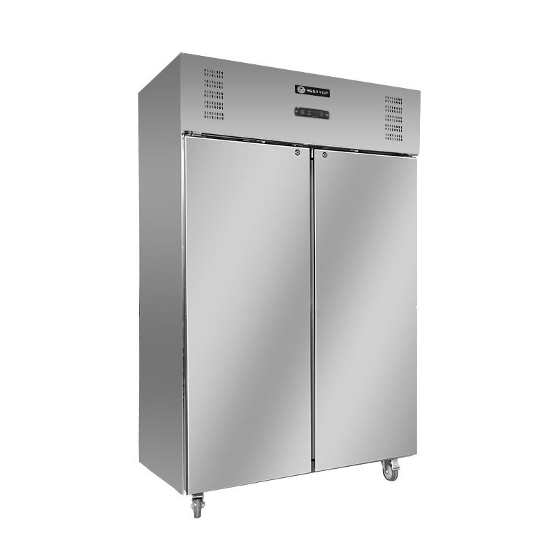 Double Door Upright Fridge/CRT48-2